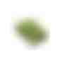 Pflanz-Schale mit Samen - Gewürzpaprika (Art.-Nr. CA371158) - Die Schale aus Bambuspapier lädt daz...