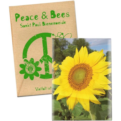 Samentütchen Klein - Natronkraftpapier - Sonnenblumen (Art.-Nr. CA373209) - Das Samentütchen kann komplett selbs...