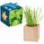 Pflanz-Holz Maxi Star-Box mit Samen - Basilikum, 1 Seite gelasert (individuell) (Art.-Nr. CA378571)
