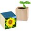 Pflanz-Holz mit Samen - Sonnenblume, 2 Seiten gelasert (individuell) (Art.-Nr. CA383186)