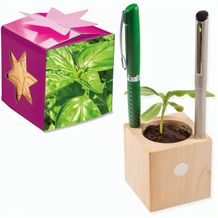 Pflanz-Holz Büro Star-Box mit Samen - Basilikum (individuell) (Art.-Nr. CA384470)