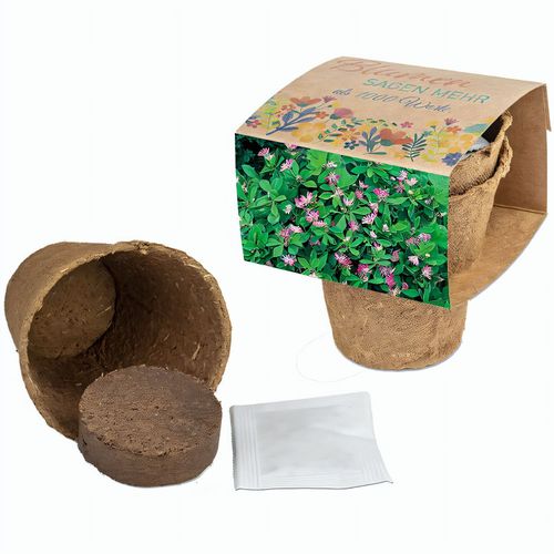 Anzucht-Set mit Samen - Persischer Klee (Art.-Nr. CA394209) - Diese Anzuchttöpfe sind biologisc...