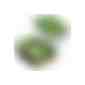 Pflanz-Schale mit Samen - Kräutermischung (Art.-Nr. CA395386) - Die Schale aus Bambuspapier lädt daz...