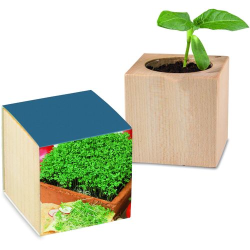 Pflanz-Holz mit Samen - Gartenkresse, 2 Seiten gelasert (Art.-Nr. CA396010) - Der Würfel aus hellem europäischem Hol...