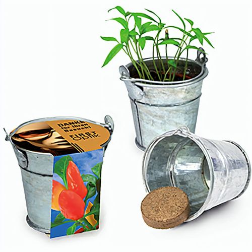 Pflanzeimerchen mit Samen - Gewürzpaprika (Art.-Nr. CA401066) - Im verzinkten Metalleimerchen befindet...
