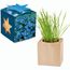 Pflanz-Holz Maxi Star-Box mit Samen - Vergissmeinnicht, 2 Seiten gelasert (individuell) (Art.-Nr. CA405762)