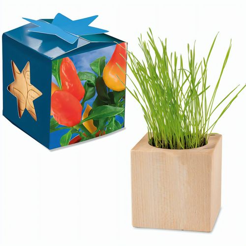 Pflanz-Holz Maxi Star-Box mit Samen - Gewürzpaprika, 1 Seite gelasert (Art.-Nr. CA407955) - Der Würfel aus hellem, europäisch...