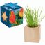 Pflanz-Holz Maxi Star-Box mit Samen - Gewürzpaprika, 1 Seite gelasert (individuell) (Art.-Nr. CA407955)