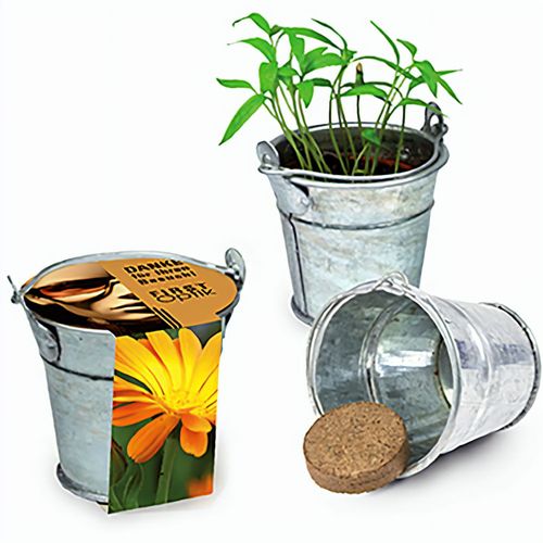 Pflanzeimerchen mit Samen - Ringelblume (Art.-Nr. CA412992) - Im verzinkten Metalleimerchen befindet...