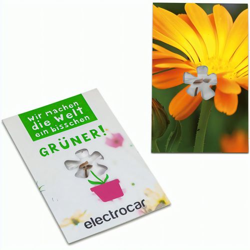 Samen-Karte-Mini Blume - Ringelblume (Art.-Nr. CA413456) - Ein sympathischer Werbe- und Mailingarti...