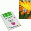 Samen-Karte-Mini Blume - Ringelblume (individuell) (Art.-Nr. CA413456)
