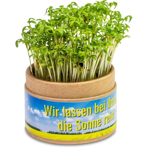 Pflanz-Cup mit Samen - Gartenkresse (Art.-Nr. CA416440) - Aus Kraftpapier produziert und mit...
