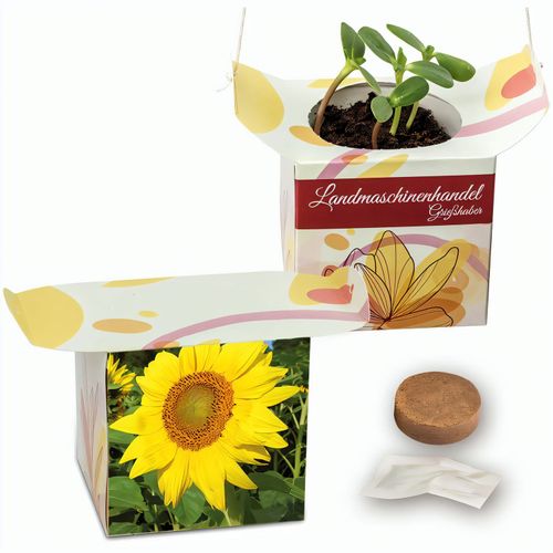 Blumenampel - Sonnenblume (Art.-Nr. CA444125) - Die kleine Blumenampel präsentier...
