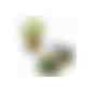 Wellkarton-Pflanzwürfel Mini mit Samen - Thymian (Art.-Nr. CA449839) - Die grünen Pflänzchen dürfen nun ab i...