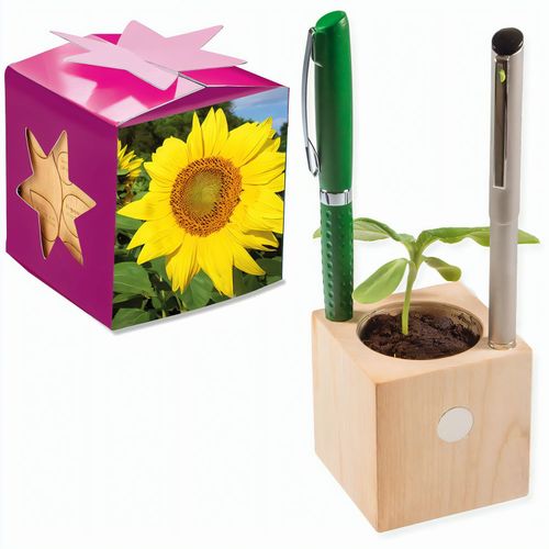 Pflanz-Holz Büro Star-Box mit Samen - Sonnenblume, 2 Seiten gelasert (Art.-Nr. CA452870) - Der Würfel aus hellem, europäisch...