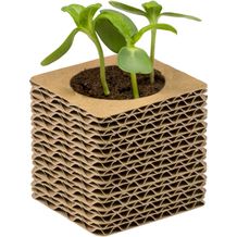 Wellkarton-Pflanzwürfel Mini mit Samen - Sonnenblume (individuell) (Art.-Nr. CA455528)