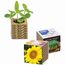 Wellkarton-Pflanzwürfel Mini mit Samen - Sonnenblume (individuell) (Art.-Nr. CA455528)