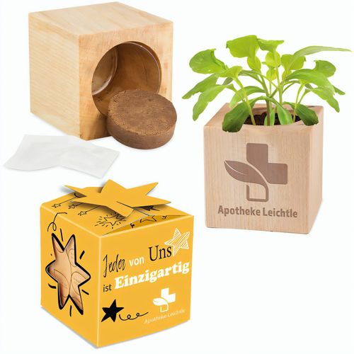 Pflanz-Holz Star-Box Ostern mit Samen - Eierbaumsamen, 1 Seite gelasert (Art.-Nr. CA456819) - Der Würfel aus hellem, europäisch...