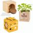Pflanz-Holz Star-Box Ostern mit Samen - Eierbaumsamen, 1 Seite gelasert (individuell) (Art.-Nr. CA456819)