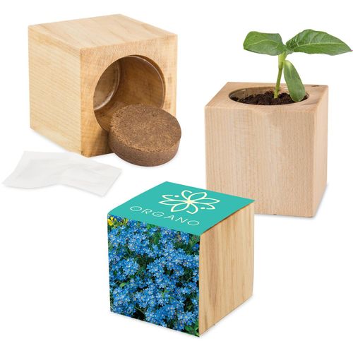 Pflanz-Holz Maxi mit Samen - Vergissmeinnicht, 1 Seite gelasert (Art.-Nr. CA468756) - Dieser Würfel aus hellem, europäischen...