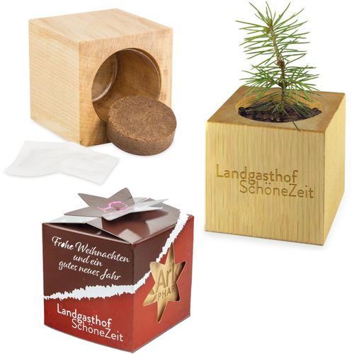 Pflanz-Holz Maxi Star-Box Xmas mit Fichtensamen - Fichte, 1 Seite gelasert (Art.-Nr. CA474262) - Das beliebte Werbemittel Pflanz-Holz...