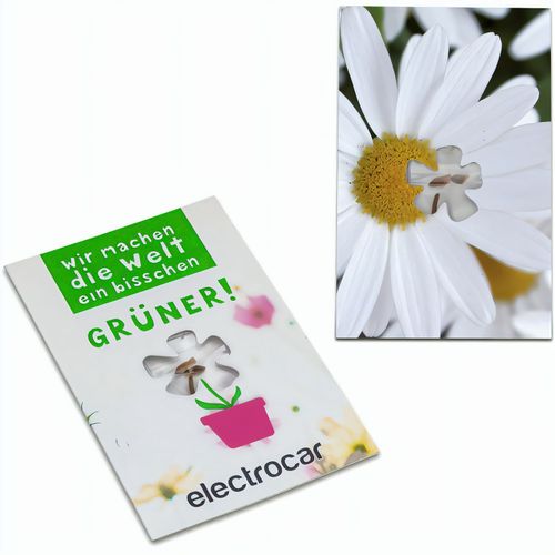 Samen-Karte-Mini Blume - Margerite (Art.-Nr. CA484722) - Ein sympathischer Werbe- und Mailingarti...