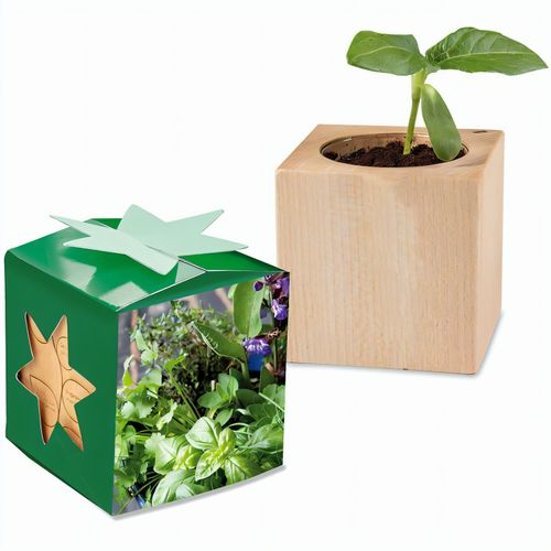 Pflanz-Holz Star-Box mit Samen - Kräutermischung, 1 Seite gelasert (Art.-Nr. CA491872) - Der Würfel aus hellem, europäisch...