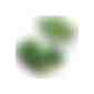 Pflanz-Schale mit Samen - Glücksklee-Zwiebeln (* Je nach Verfügbarkeit der Glücksklee-Zwiebeln) (Art.-Nr. CA506805) - Die Schale aus Bambuspapier lädt daz...