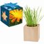 Pflanz-Holz Maxi Star-Box mit Samen - Ringelblume, 2 Seiten gelasert (individuell) (Art.-Nr. CA515705)