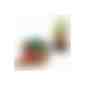 Pflanz-Kork rund mit Samen - Persischer Klee (Art.-Nr. CA522304) - Kork ist das absolute Trendmaterial und...