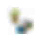 Wellkarton-Pflanzwürfel Mini mit Samen - Vergissmeinnicht (Art.-Nr. CA527220) - Die grünen Pflänzchen dürfen nun ab i...
