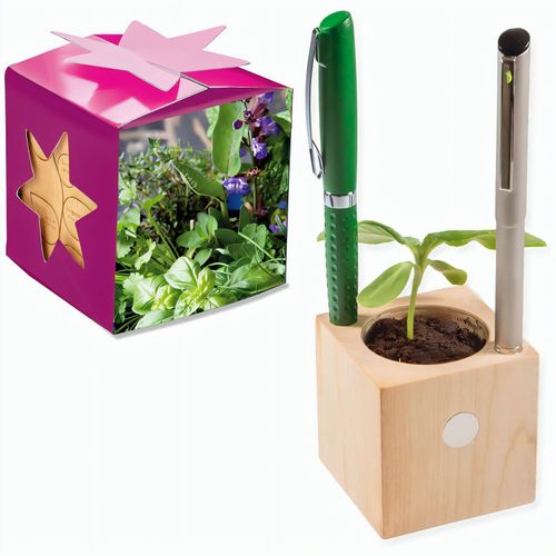 Pflanz-Holz Büro Star-Box mit Samen - Kräutermischung, 2 Seiten gelasert (Art.-Nr. CA534477) - Der Würfel aus hellem, europäisch...