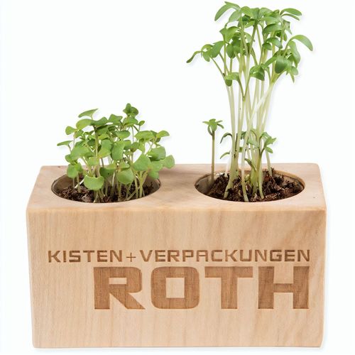 Pflanz-Holz 2er Set mit Samen - Kräutermischung, 1 Seite gelasert (Art.-Nr. CA538731) - Mehr Platz für Blumen, Kräuter und die...