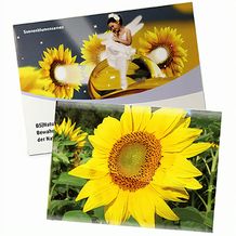 Samentütchen Groß - Standardpapier - Sonnenblume (individuell) (Art.-Nr. CA539329)