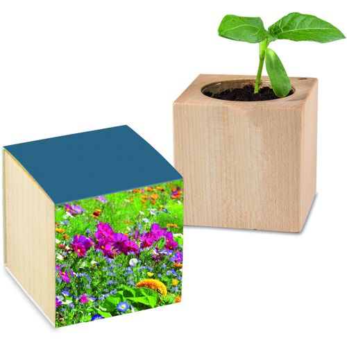 Pflanz-Holz mit Samen - Sommerblumenmischung, 1 Seite gelasert (Art.-Nr. CA542850) - Der Würfel aus hellem europäischem Hol...