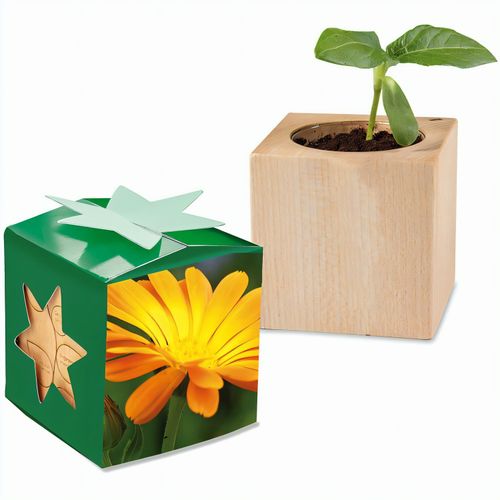 Pflanz-Holz Star-Box mit Samen - Ringelblume, 1 Seite gelasert (Art.-Nr. CA545905) - Der Würfel aus hellem, europäisch...