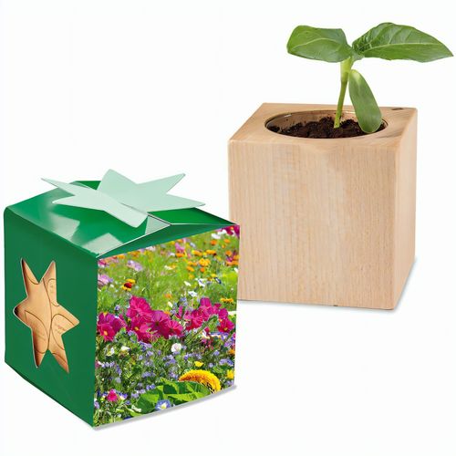Pflanz-Holz Star-Box mit Samen - Sommerblumenmischung, 1 Seite gelasert (Art.-Nr. CA548276) - Der Würfel aus hellem, europäisch...