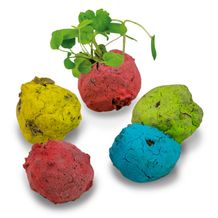 Bunte Mini Flower-Balls mit Samen (individuell) (Art.-Nr. CA555863)
