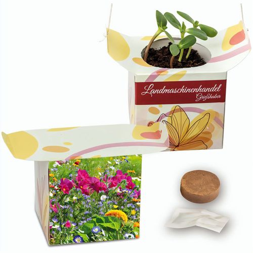 Blumenampel - Sommerblumenmischung (Art.-Nr. CA560655) - Die kleine Blumenampel präsentier...