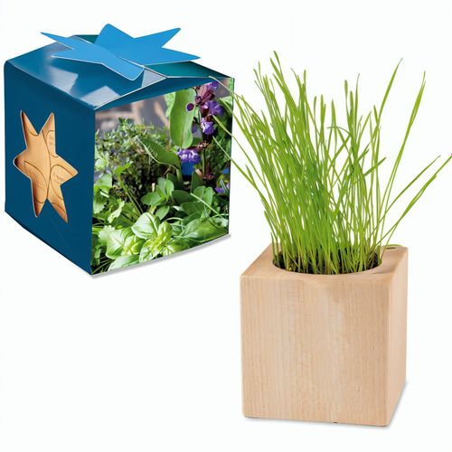 Pflanz-Holz Maxi Star-Box mit Samen - Kräutermischung, 2 Seiten gelasert (Art.-Nr. CA567887) - Der Würfel aus hellem, europäisch...