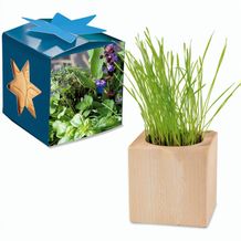 Pflanz-Holz Maxi Star-Box mit Samen - Kräutermischung, 2 Seiten gelasert (individuell) (Art.-Nr. CA567887)