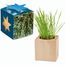 Pflanz-Holz Maxi Star-Box mit Samen - Thymian (individuell) (Art.-Nr. CA575881)