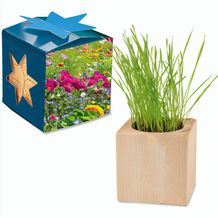 Pflanz-Holz Maxi Star-Box mit Samen - Sommerblumenmischung, 1 Seite gelasert (individuell) (Art.-Nr. CA598411)