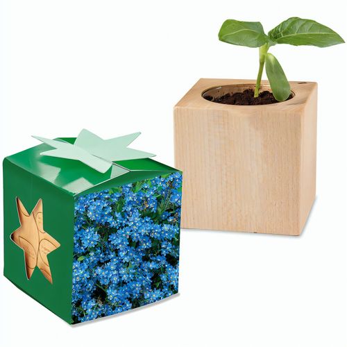Pflanz-Holz Star-Box mit Samen - Vergissmeinnicht, 2 Seiten gelasert (Art.-Nr. CA599880) - Der Würfel aus hellem, europäisch...