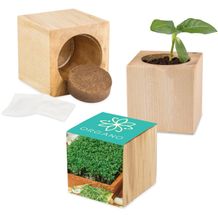 Pflanz-Holz Maxi mit Samen - Gartenkresse, 1 Seite gelasert (individuell) (Art.-Nr. CA632566)