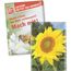 Samentütchen Klein - Recyclingpapier - Sonnenblumen (individuell) (Art.-Nr. CA635601)