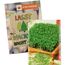 Samentütchen Mini - Graspapier - Gartenkresse (individuell) (Art.-Nr. CA637154)