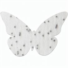 Samenpapier in Klappkärtchen Ei - Schmetterling (individuell) (Art.-Nr. CA660374)