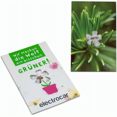 Samen-Karte-Mini Blume - Fichte (Art.-Nr. CA701438) - Ein sympathischer Werbe- und Mailingarti...