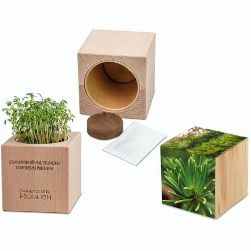 Pflanz-Holz Grande mit Samen - Fichte (Art.-Nr. CA716025) - Viel mehr Werbefläche für noch bessere...